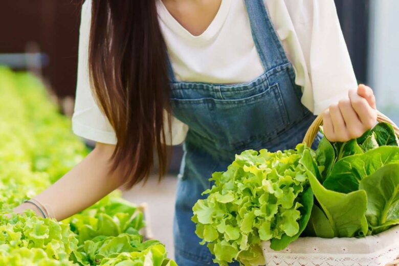 Comment vendre ses légumes au marché ?