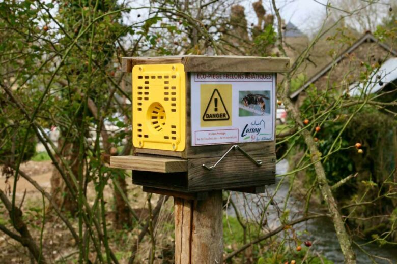 Un piège à frelon situé sur le bord d'une rivière en Normandie.