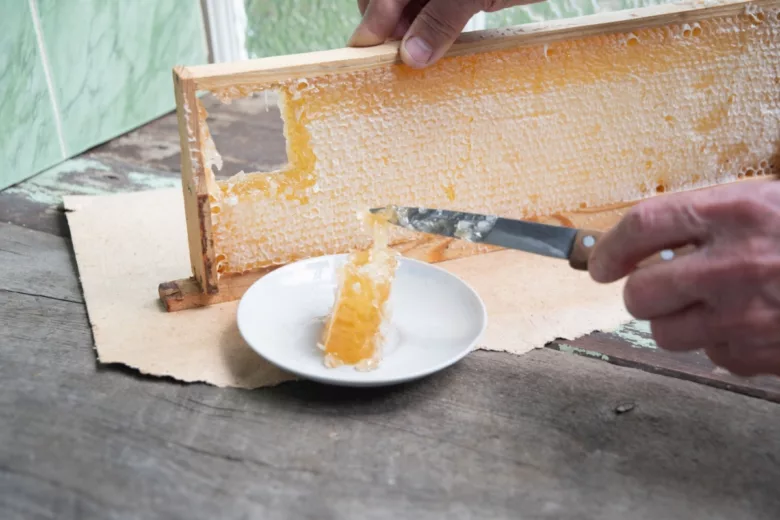 Extraction de rayons de miel avant dégustation gourmande.