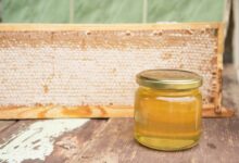 Comment les abeilles fabriquent-elles le miel ?