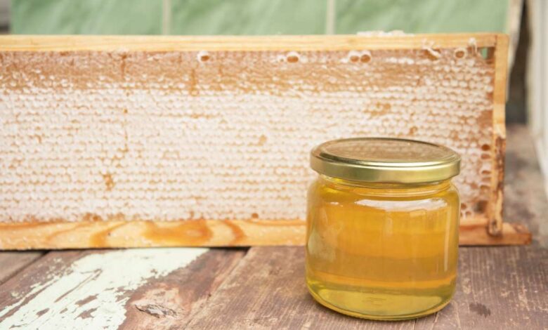 Comment les abeilles fabriquent-elles le miel ?