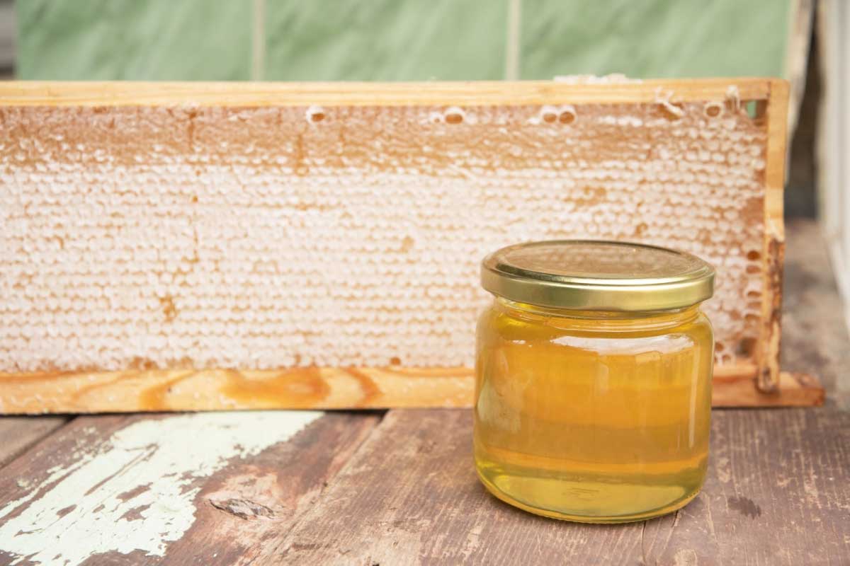 Comment les abeilles fabriquent-elles le miel ?