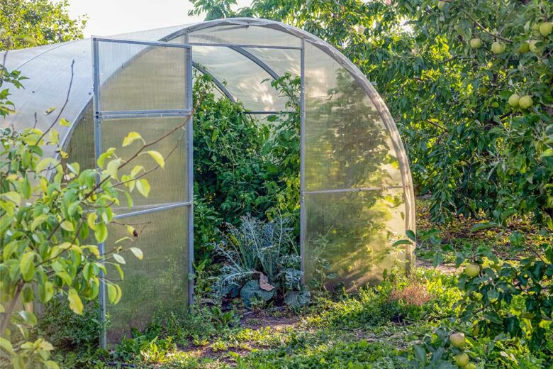 Un exemple de serre construite avec des tubes et un film en plastique.