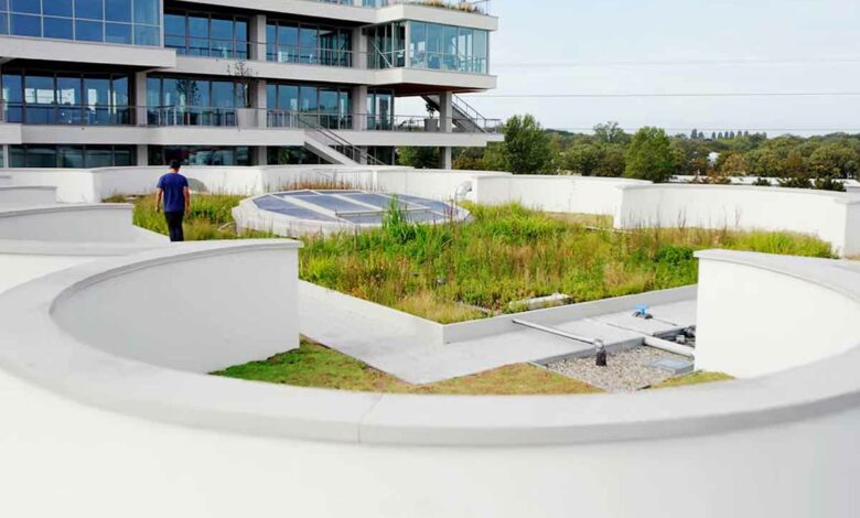 Le système de phytoépuration sur la toiture permet d'économiser 30 % d'eau selon Soprema.