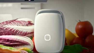 Cet appareil permet de conserver plus longtemps vos aliments et assainir votre réfrigérateur.