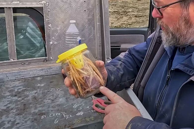 Le piège BIOTRAP se visse simplement sur les pots au format TO82.