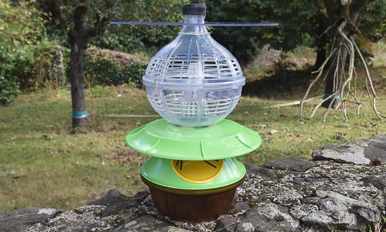 Le piège japonais pour lutter contre les frelons asiatiques.