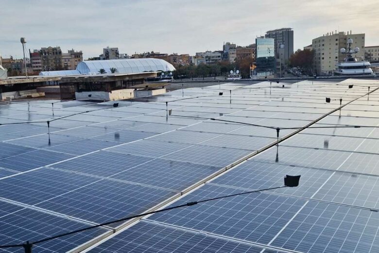 « Une coexistence harmonieuse entre énergies renouvelables et préservation de la biodiversité. »