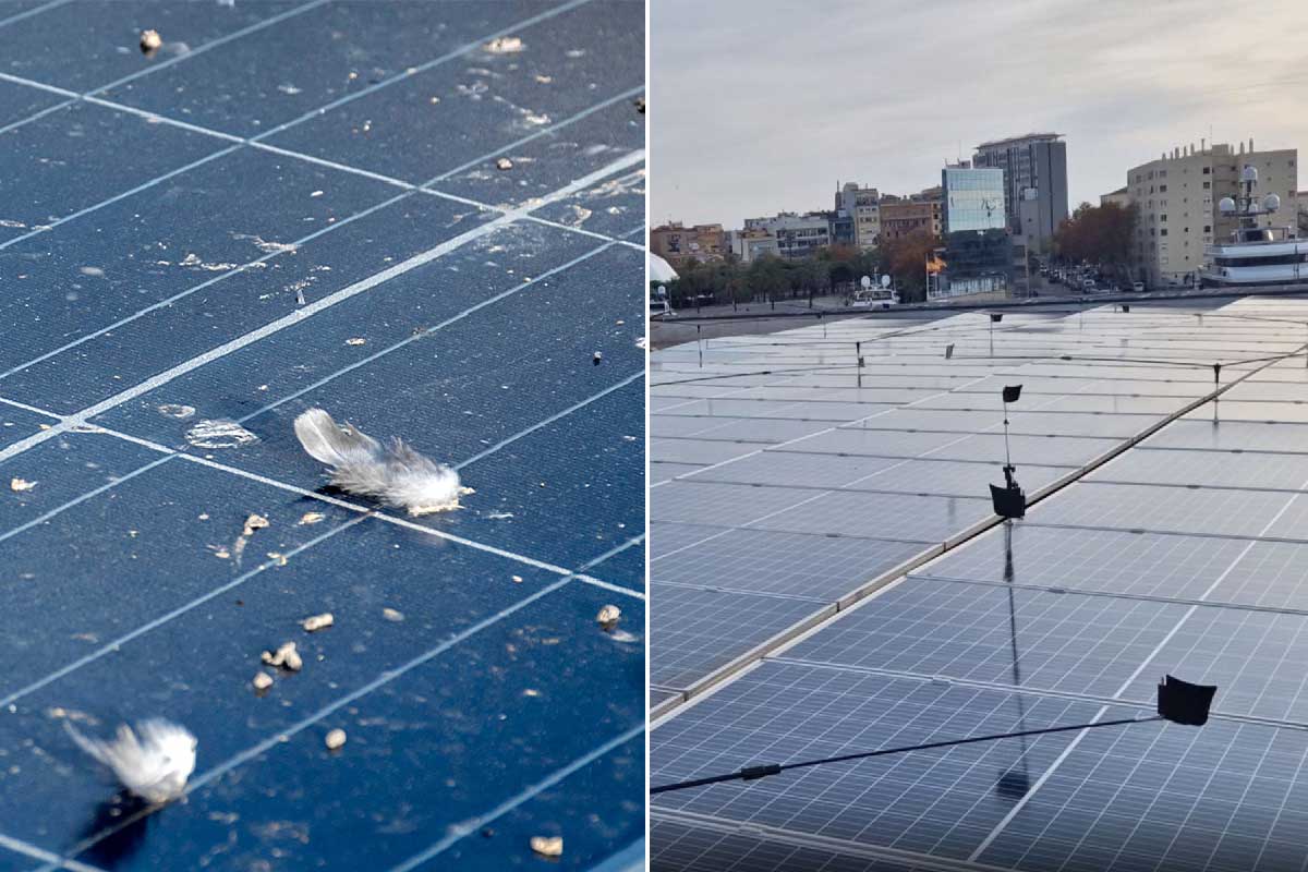Un dispositif écologique conçu pour protéger les panneaux solaires, respectueux des oiseaux et adaptable aux différentes tailles de panneaux.