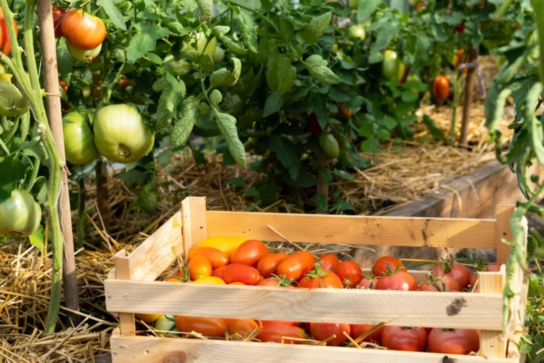 Une agriculture plus respectueuse de l'environnement. 