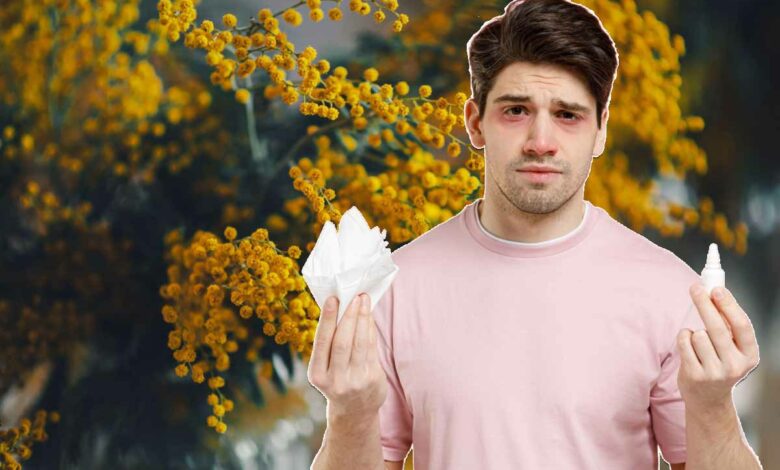 La période des allergies aux pollens a débuté, quelles plantes sont à éviter absolument ?