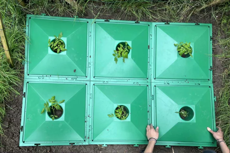 La plaque ECOLO5 va étouffer les herbes indésirables.