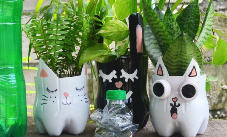 Des pots pour vos plantes fabriqués à partir de bouteilles d'eau.