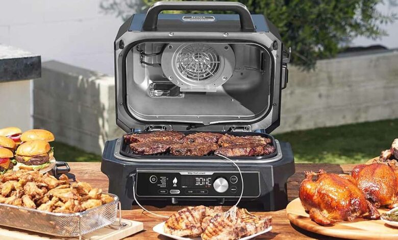 Ce barbecue électrique dispose d'une fonction fumoir avec des pellets de bois.