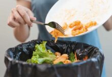 Le tri des biodéchets pour le compostage.