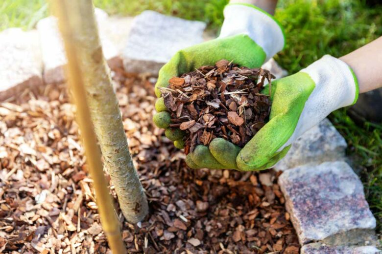 Des pellets humides peuvent servir de paillage au jardin.