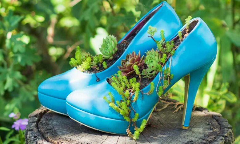 Une utilisation de chaussures à talons très insolite !