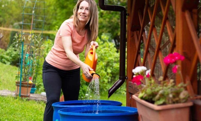 Quels sont les inconvénients d'un récupérateur d'eau de pluie ?