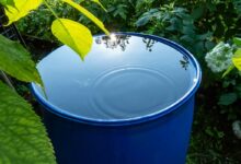 Protégez votre réserve d'eau : conseils pratiques pour maintenir votre récupérateur d'eau de pluie propre.