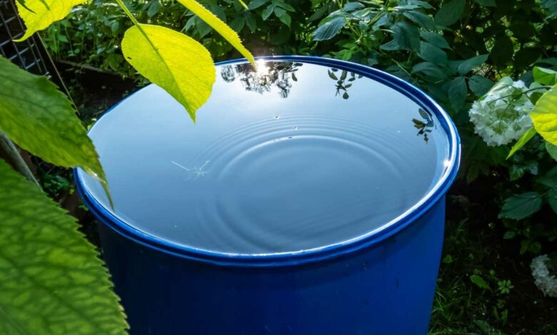 Protégez votre réserve d'eau : conseils pratiques pour maintenir votre récupérateur d'eau de pluie propre.