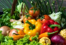 Quels légumes sont les plus rentables au potager ?