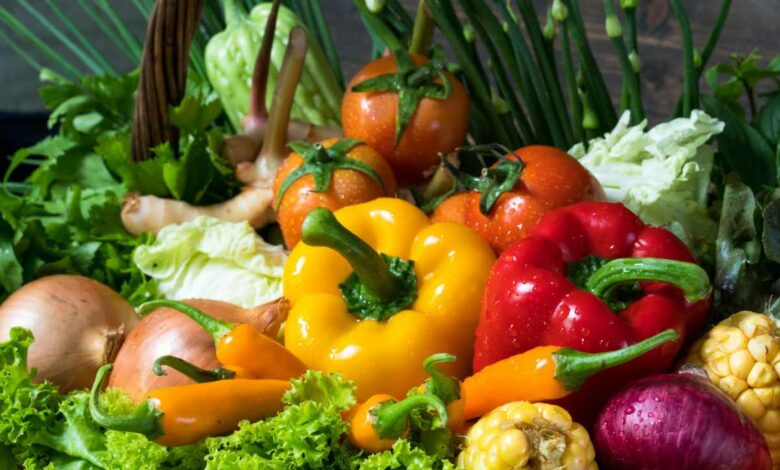 Quels légumes sont les plus rentables au potager ?