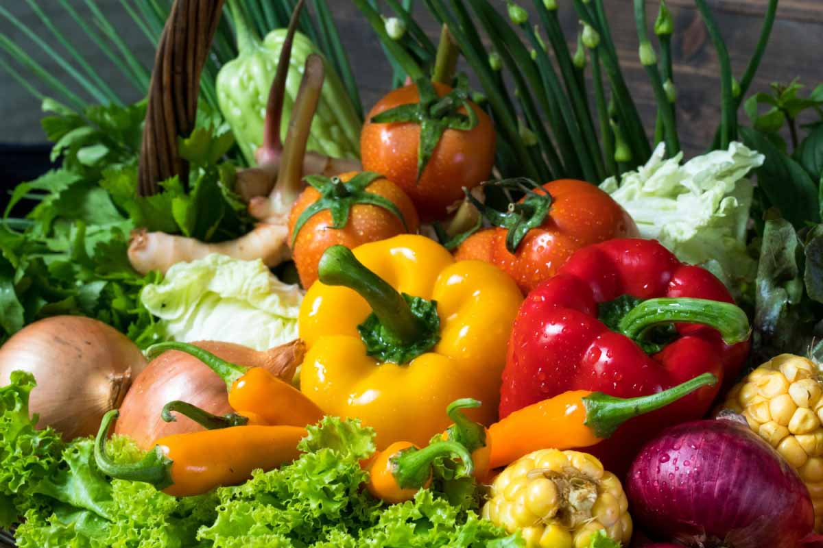 Quels légumes sont les plus rentables au potager ?