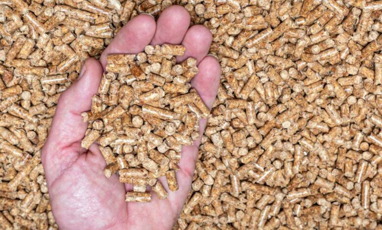 Fabriquer ses propres granulés de bois peut devenir très rentable.