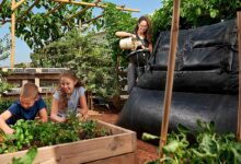 Le biodigesteur HomeBiogas produit du gaz et du fertilisant à partir de vos biodéchets.