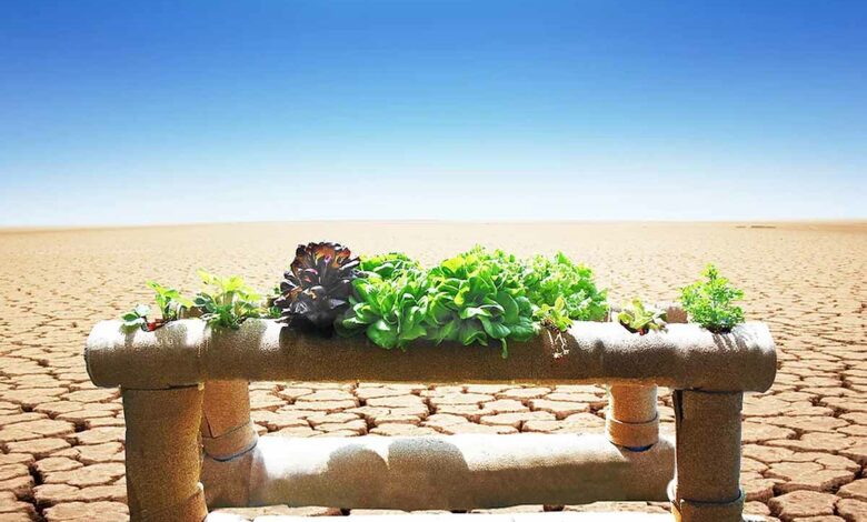Un système de culture hors sol qui nécessite 90 % d'eau en moins.
