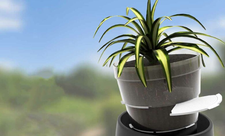 Un pot qui s'adapte en fonction des besoins de vos plantes.