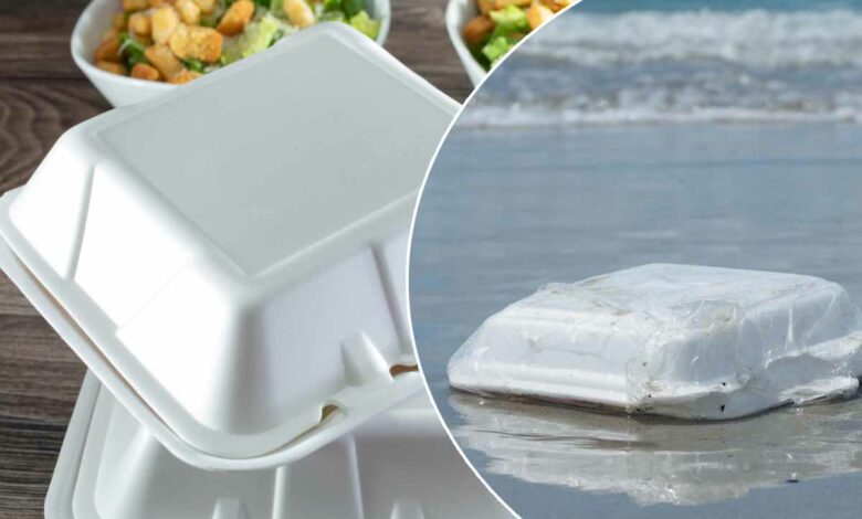 Le polystyrène qui sert aux emballages n'est pas suffisamment recyclé.