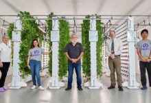 Faire pousser des fruits et légumes toute l'année avec l'Agrotunnel.
