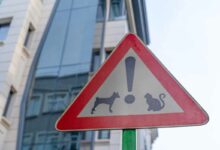 Connaissez-vous des panneaux de signalisation insolites ?