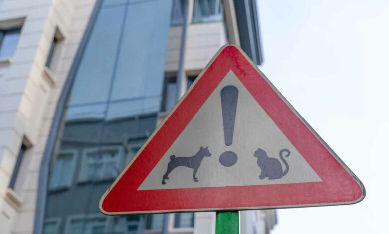 Connaissez-vous des panneaux de signalisation insolites ?
