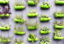 Un jardin vertical réalisé avec des bouteilles plastiques.