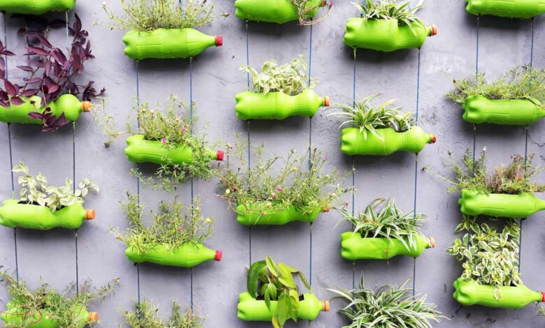 Un jardin vertical réalisé avec des bouteilles plastiques.