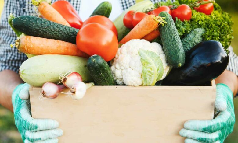 Quels sont les légumes à cultiver au mois de juin ?