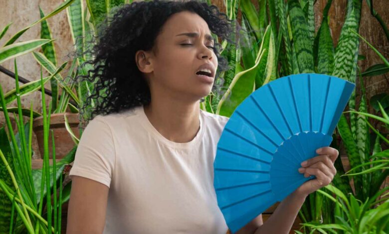 Quelles sont les plantes qui peuvent maintenir un peu de fraicheur dans votre intérieur ?