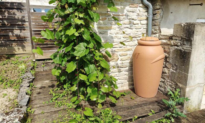 Un récupérateur d'eau qui s'intègre parfaitement à son environnement.