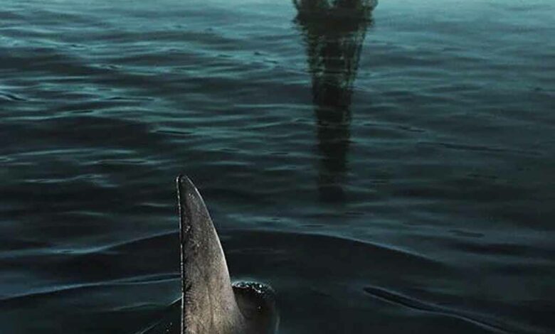 Détail de l'affiche du film « Sous la Seine ».