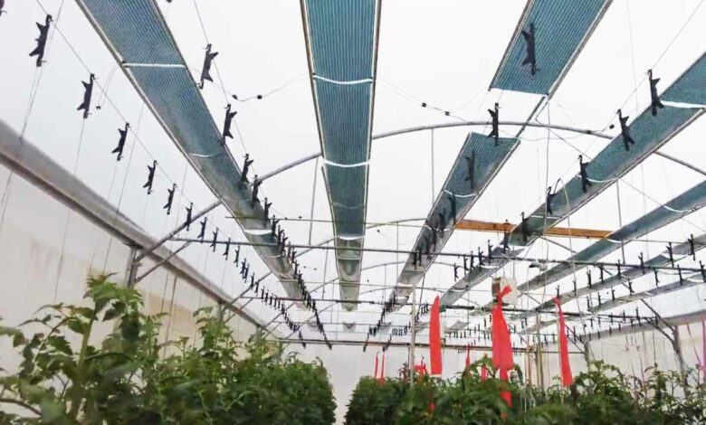 Développer la production agricole tout en produisant de l'électricité est possible.