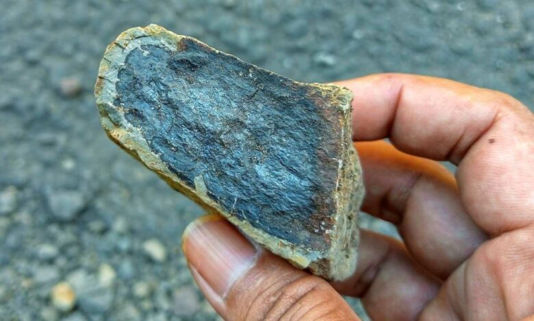 Une roche contenant du minerai de fer.