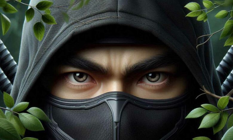 Nous avons tous l'image du ninja comme un assassin furtif.