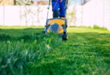 De faux jardiniers sévissent auprès de personnes âgées et les arnaquent.