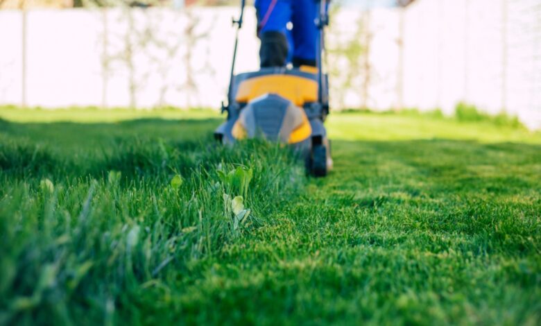 De faux jardiniers sévissent auprès de personnes âgées et les arnaquent.