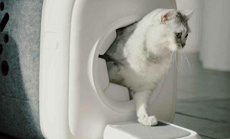 Une caisse qui sert de débarrasse poils à votre chat.