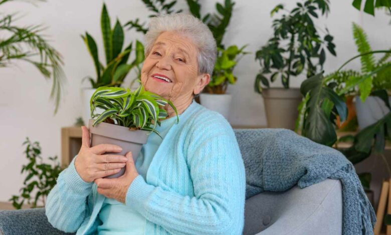 Il existe des astuces pour que vos plantes restent en vie si vous partez en vacances.