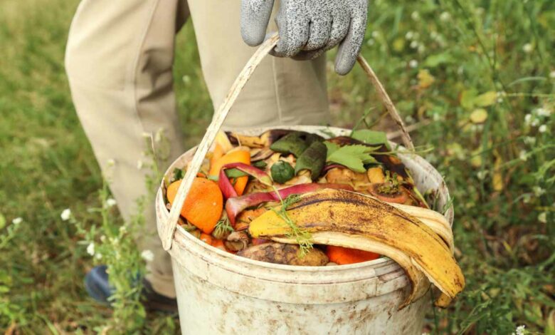 Les déchets alimentaires ne doivent pas se retrouver dans la nature.