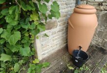 Récupération de l'eau de pluie pour l'arrosage du jardin.